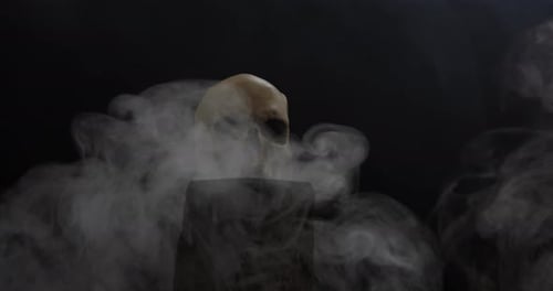 Skull behind wisps of smoke