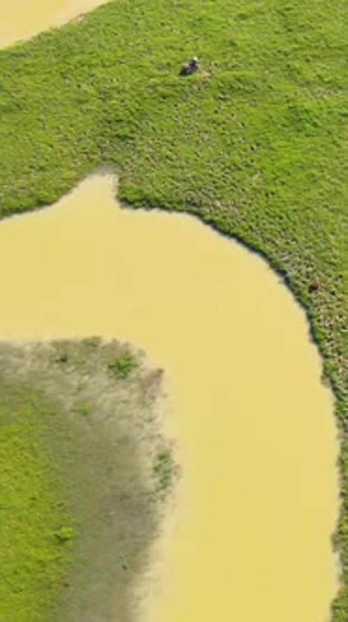 Vue aérienne : Belle terre herbeuse avec une rivière calme et boueuse dans la région de Haor au Bangladesh.