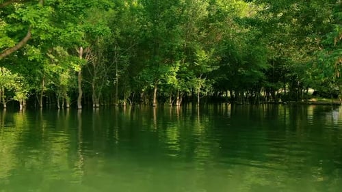 Aerial view of water reservoir with green trees