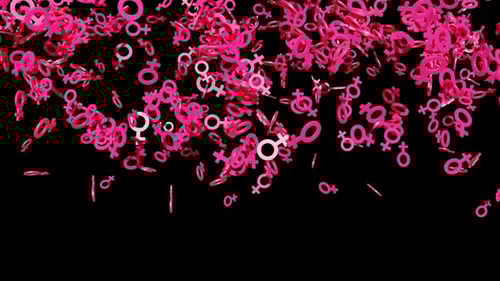 Falling Pink Female Gender Symbols Animation