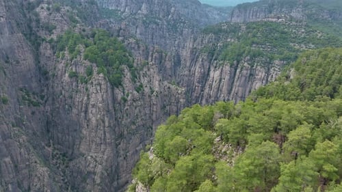 Dramatic Aerial View of a Deep Green Forested Canyon with Towering Rocky Cliffs