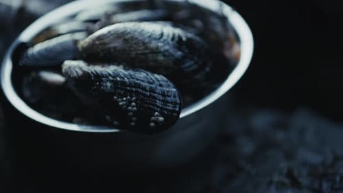 Bowl of Fresh Mussels Harvested From East Sooke Regional Park In Vancouver Island, Canada. -