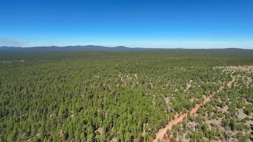 Aerial view of forest and mountains, United States.