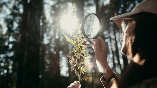 Discovering the Wonders of Nature Using a Magnifying Glass While Adventuring in the Forest