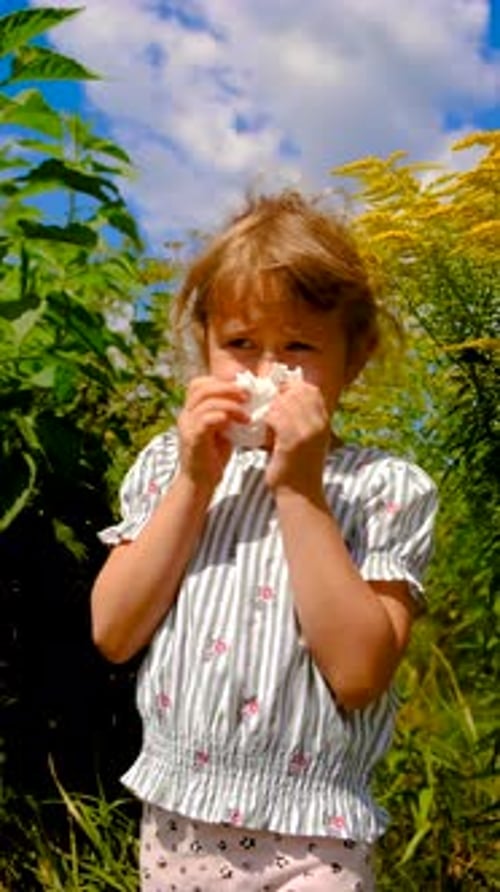 The Child is Allergic to Ragweed Selective Focus