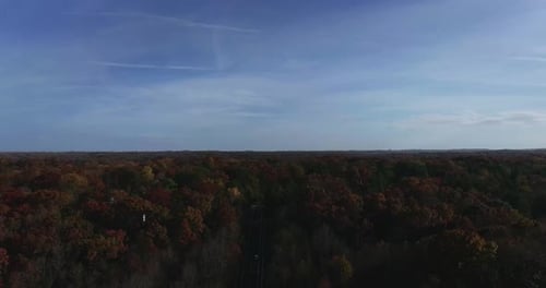 Conducir en otoño - 4K