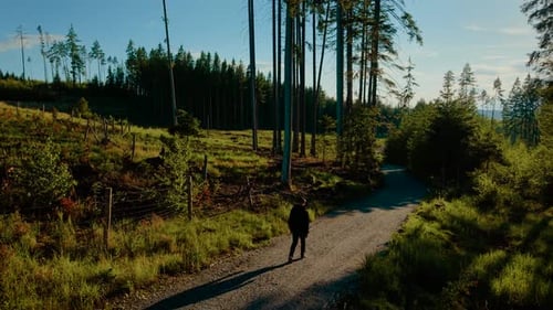 Person Walking Through Forest Road Near Hillside on Sunny Day Explorer Strolling Along Gravel Path
