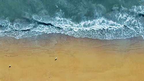 Luftaufnahme der Meereswellen und des Sandstrandes mit Möwen Eine ruhige Luftaufnahme, die den sanften Ozean einfängt