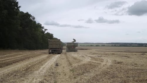 Tractor unloading the grain cart full of wheat