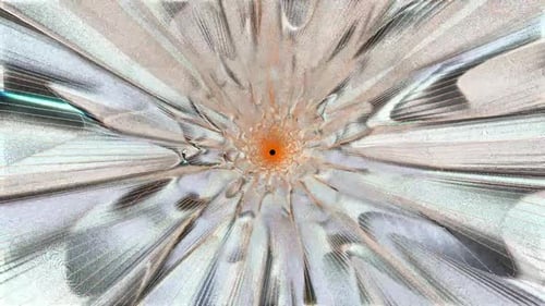 Abstract Shimmering Light Burst Radial Animation