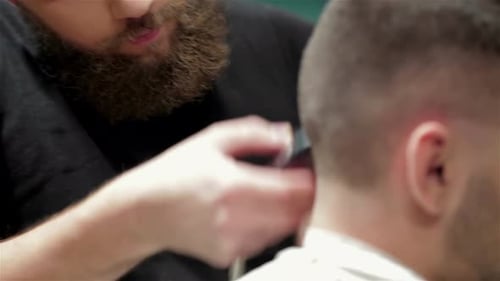 Bearded Brutal Man in a Barber Shop