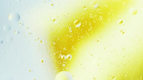 Real close up oil bubbles in water rotation with color gradient abstract mixing background.