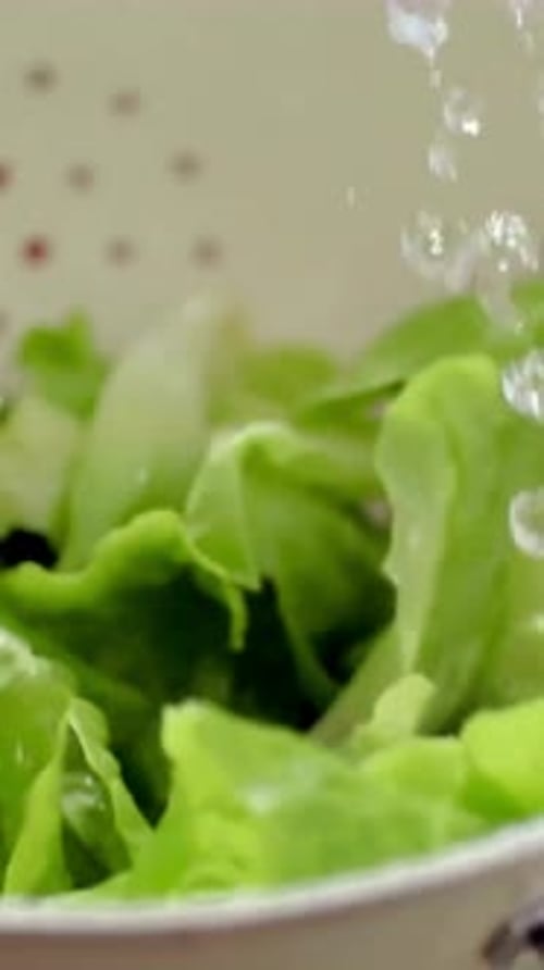 Vertical View Of Mixed Salad