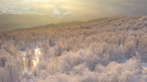 Winter Sunrise Above The Mountain Forest 13