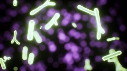 Viruses Under the Microscopic View for Education