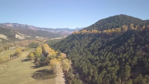 Aerial View of Rolling Hills and Meadows