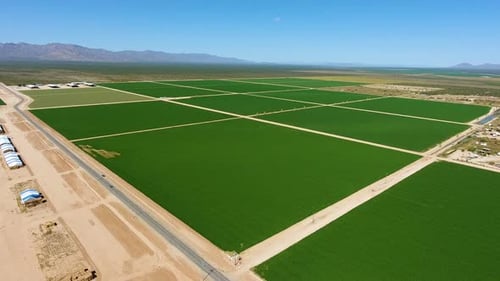 Wide rotating aerial shot flying over a green filed of crops on a farm