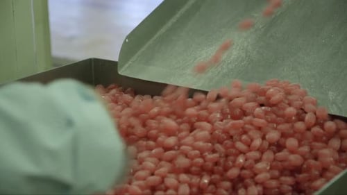 Pink Candy Production in a Food Factory
