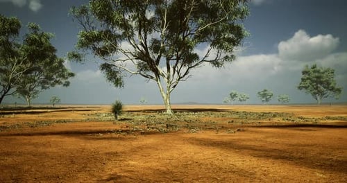 3D Animated Arid Landscape with Trees Under Blue Sky