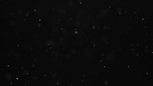 Dust Particles