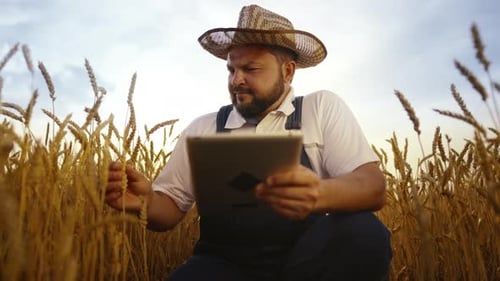 Farmer with Tablet in Agricultural Field Portrait of Professional Agronomist Agronomy and