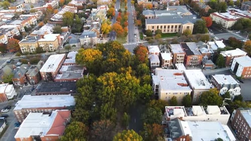 Historic Tree-lined Monument Avenue in Richmond, Virginia (USA) | Aerial View Panning Up | Fall 2021