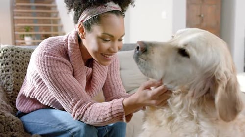 Woman Affectionately Petting her Golden Retriever Dog