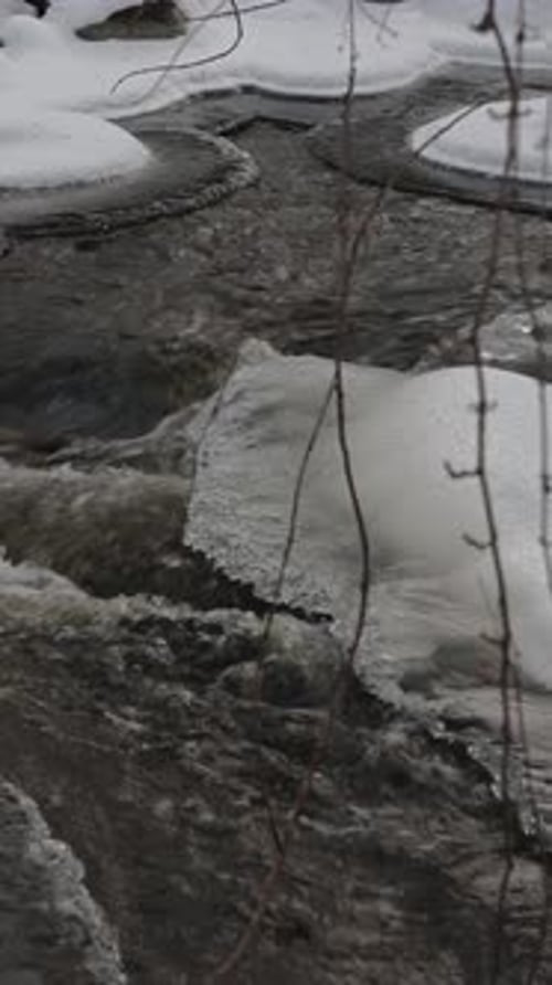 Une rivière rapide traverse des lisières glacées, signe d'un réchauffement saisonnier précoce