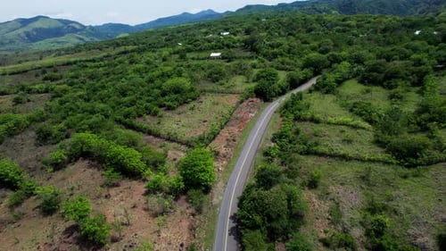 Winding road through lush green hills and forests in tropical landscape