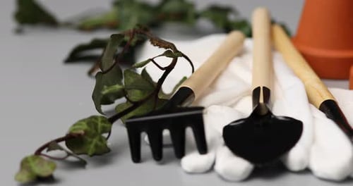 Rotation Small Ceramic Flower Pots Gloves Gardening Tools and Green Leaves