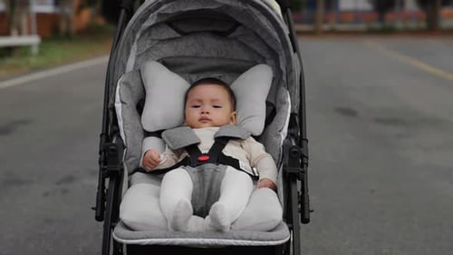 infant baby in stroller with mother pushing while walking in the park
