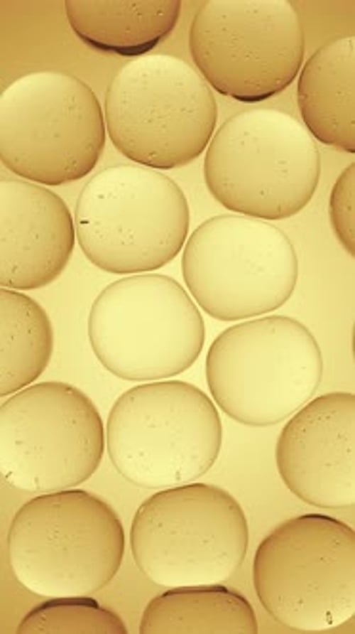 Abstract Golden Geometric Circles Appearing Background