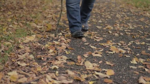 Relaxing walk in autumn leaves with a wooden stick