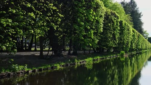 Wunderschöner Spring Lake Way auf zwei Seiten und im Wald