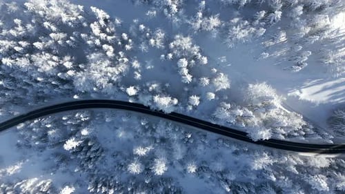 Vertical Video Scenic Road Through a Snowy Winter Mountain Forest