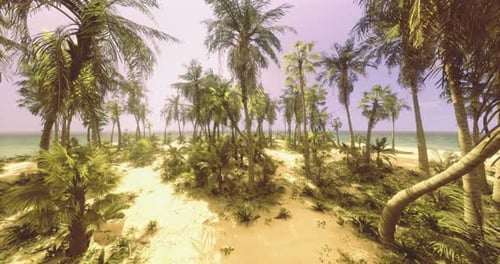 Flying Over Tropical Island with Lush Palm Trees and Blue Ocean