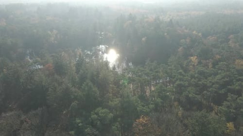 Luftaufnahme des von Wald umgebenen Sees im Herbst