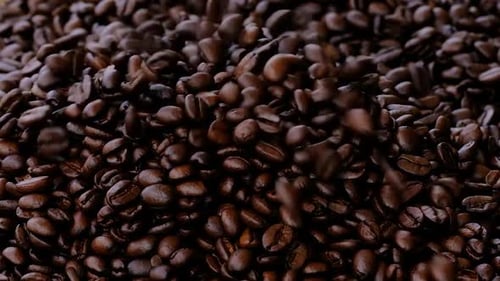 Dark Roasted Coffee Beans Falling into a Pile