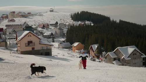 Caucasian woman training dogs comands while on vacation in the mounts.