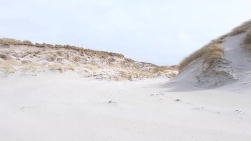Quiet Beach Dunes on Overcast Day