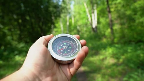 Hold a compass in your hand and explore the area on a journey through the forest