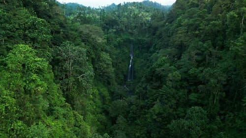 Top View Bali Jungle Sekumpul Waterfall Drone View