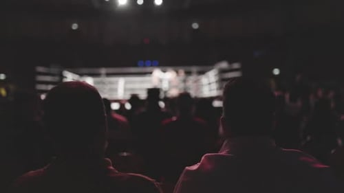Spectators Watching Boxing Match in Arena