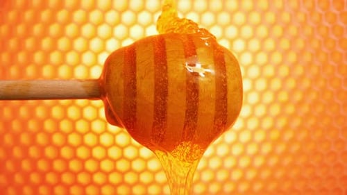 Close-up of Honey Dripping from Wooden Dipper