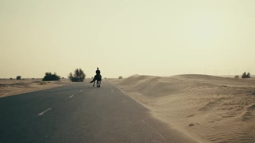 Arab Man Riding Black Horse in Desert During Golden Hour