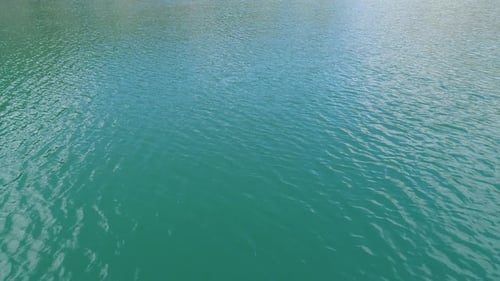 Turquoise Water in a Mountain Forest Lake with Pine Trees