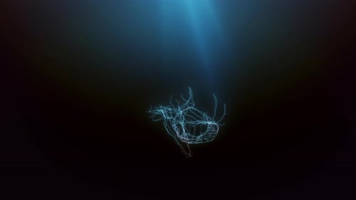 AI Neural Plexus Technology Background Loop 4K