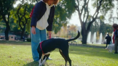 Woman Playing with Dog on Green Lawn in Public Park