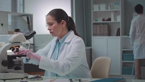 Woman Lab Worker Examines Sample Under Microscope