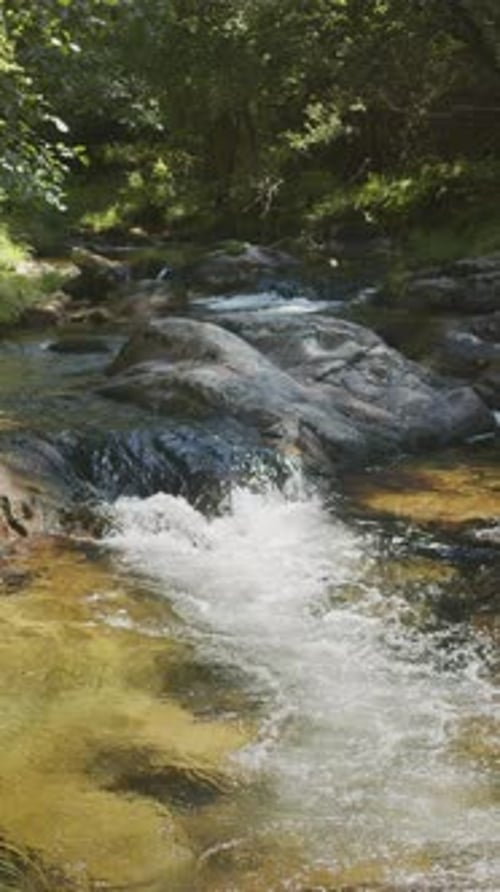 Pure, sparkling, bubbling and cascading water of nearby stream close up